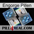 Engorge Pills viagra5